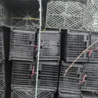 سبد کیوی ۱۰ کیلویی