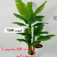 پرنده نیکولای استرزیا درختچه مصنوعی باباادم