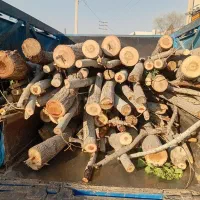 خرید چوب خشک وهرس درختان میوه وغیره