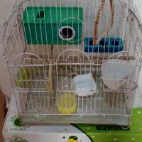 قفس خوب وعالی