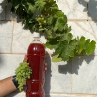 آبغوره طبیعی