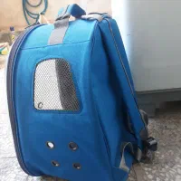 باکس گربه