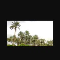 فروش زمین ،مناسب باغ ویلا