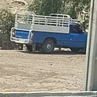 کاه شواک گرفته