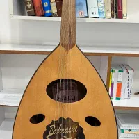 عود بحرینی نو