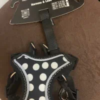 قلاده کمری سگ وگربه