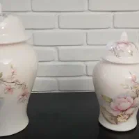 جینجرجار  نونو