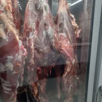 قصاب ماهر