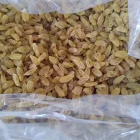 کشمش تازه  درجه یک زرد