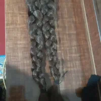 موی سر