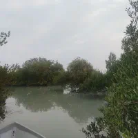 قشم گردی|تور و چارتر|قشم, |دیوار