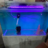 اکواریوم شیشه خم شرکتی