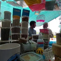 فروشنده برای ۶ ساعت کاری