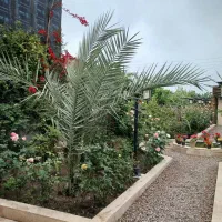 ویلا-سرسبز-و-بزرگ-استخر-و-جکوزی