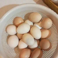 تخم ویاندوت بلک رد