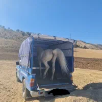 اسب کش (اسبکش)