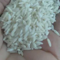 برنج سالم محلی دلی اباد
