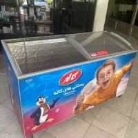 فریزر ۶۰۰ لیتر