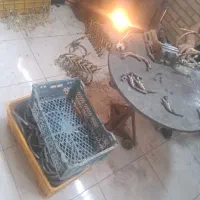 به تعدادی نیروی جوان جهت تولیدی لوستر نیازمندیم