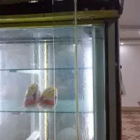 یخچال ایستاده چهار در