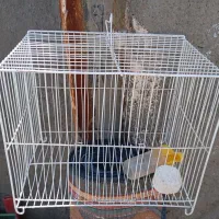 قفس بزرگ و کوچک و کیف حمل پرنده