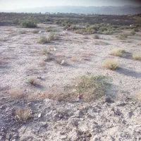 زمین-300متری