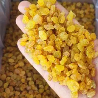 کشمش طلایی گلدن