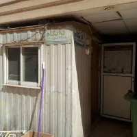کانکس