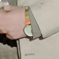 ساعت طلایی گم شده