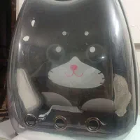 کوله حمل گربه