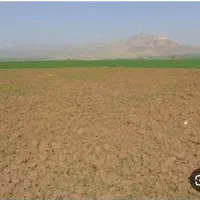 زمین دیم دارم برای اجاره