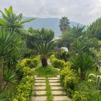 شریک و سرمایه گذار برای کافه