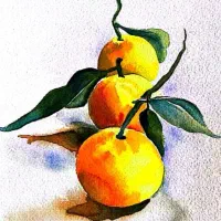 نقاشی ابرنگ نارنگی
