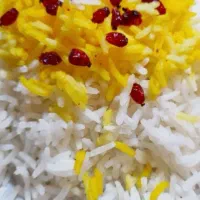 برنج فجرسوزنی مازندران