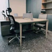 منشی خانم
