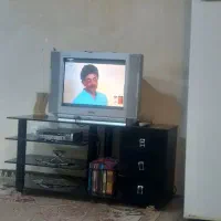 تلویزیون