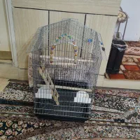 فروش یک قفس و کلبه عروس هلندی