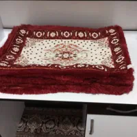 روبالشتی سلطنتی