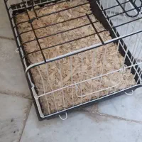 قفس