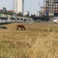 مشارکت و فروش زمین دو ، سه هزار متری پلاک یک دریا