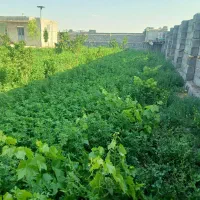 فروش باغ ویلایی