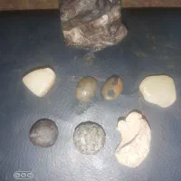 شهاب سنگ و سنگ های آنتیک با قیمت استثنایی