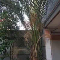 آپارتمان ۸۵ متری شهرک مطهری