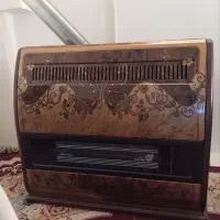 بخاری جهان گرما