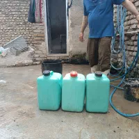 یک عدگوسفندچاق پلواری دم خانه فقط خوراک خورده