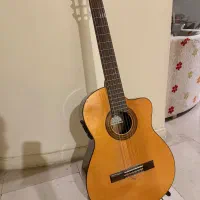 گیتار مارتینز ۱۰۷۰ پیکاپ دار