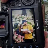 تصویر برداری خانم ودینگ