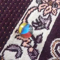 نونو بدون کوچکترین استفاده