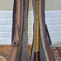 سه تار حرفه ای +هاردکیس+کتب آموزشی