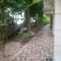 انجام خدمات نظافتی حیاط وساختمان